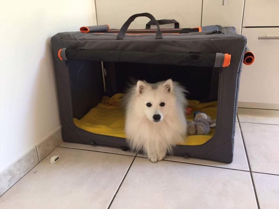 Magnificent ikö Of White Wolf Bay